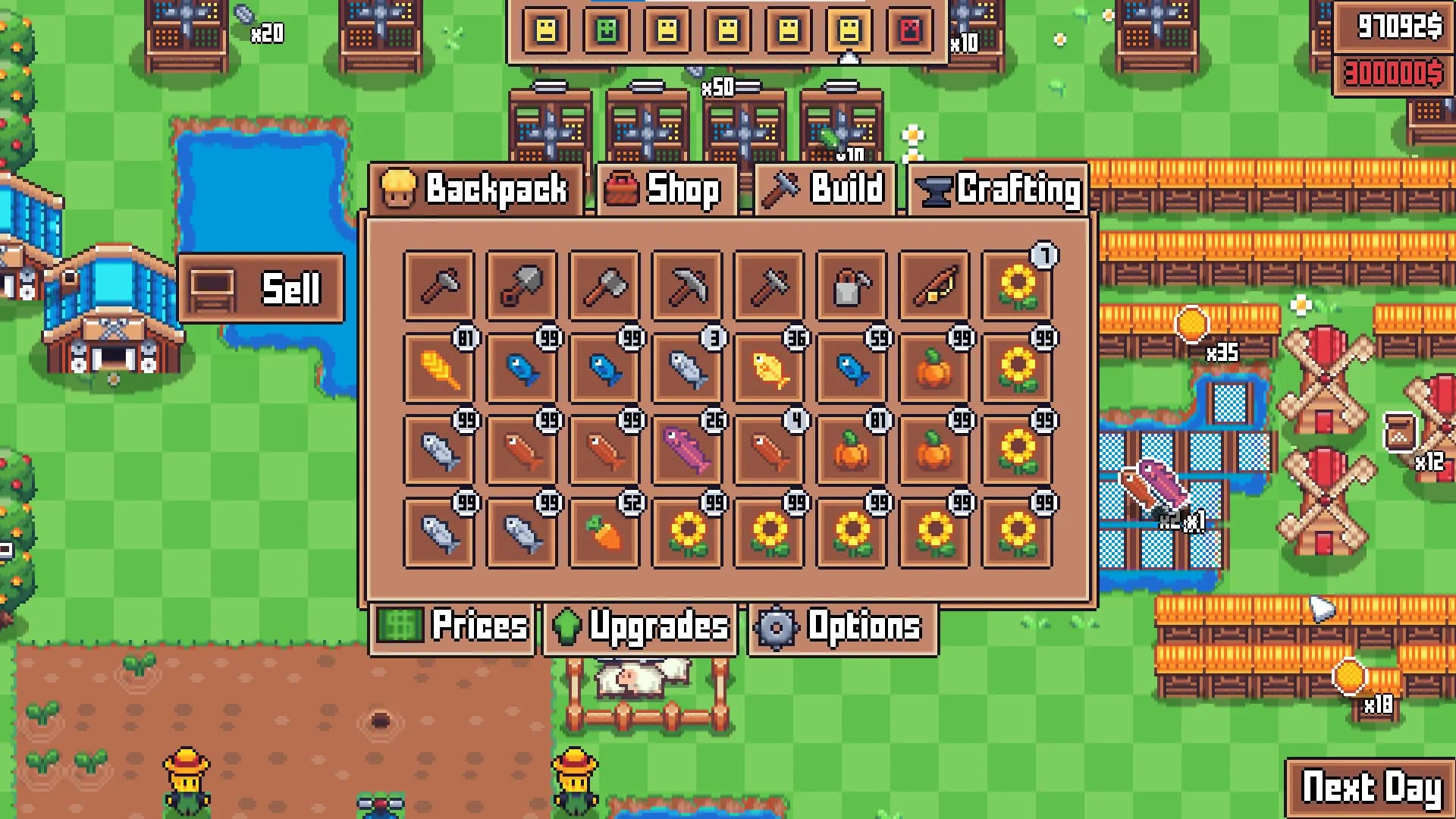 Another Farm Roguelike görsel 7
