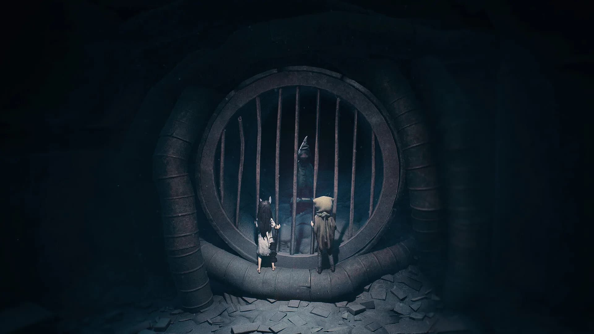 REANIMAL görsel 3