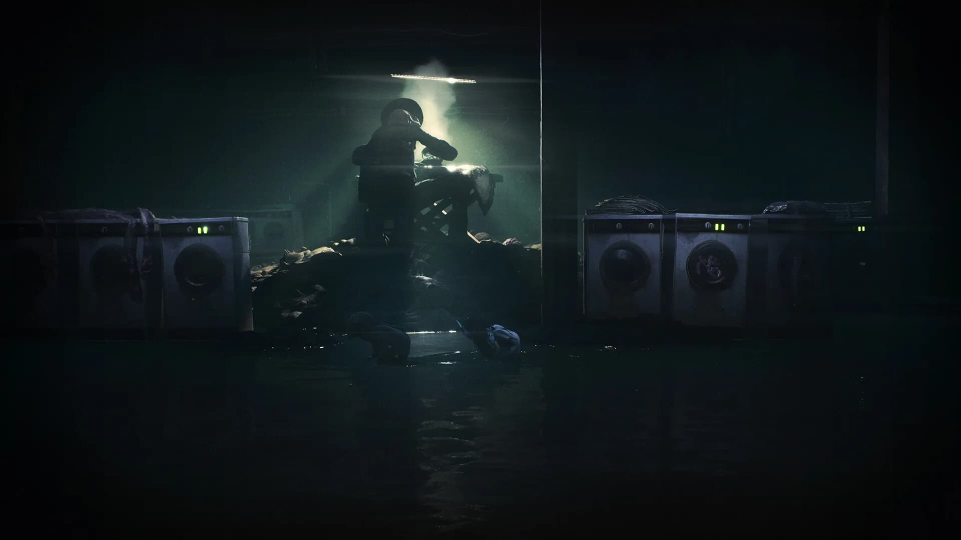 REANIMAL görsel 15