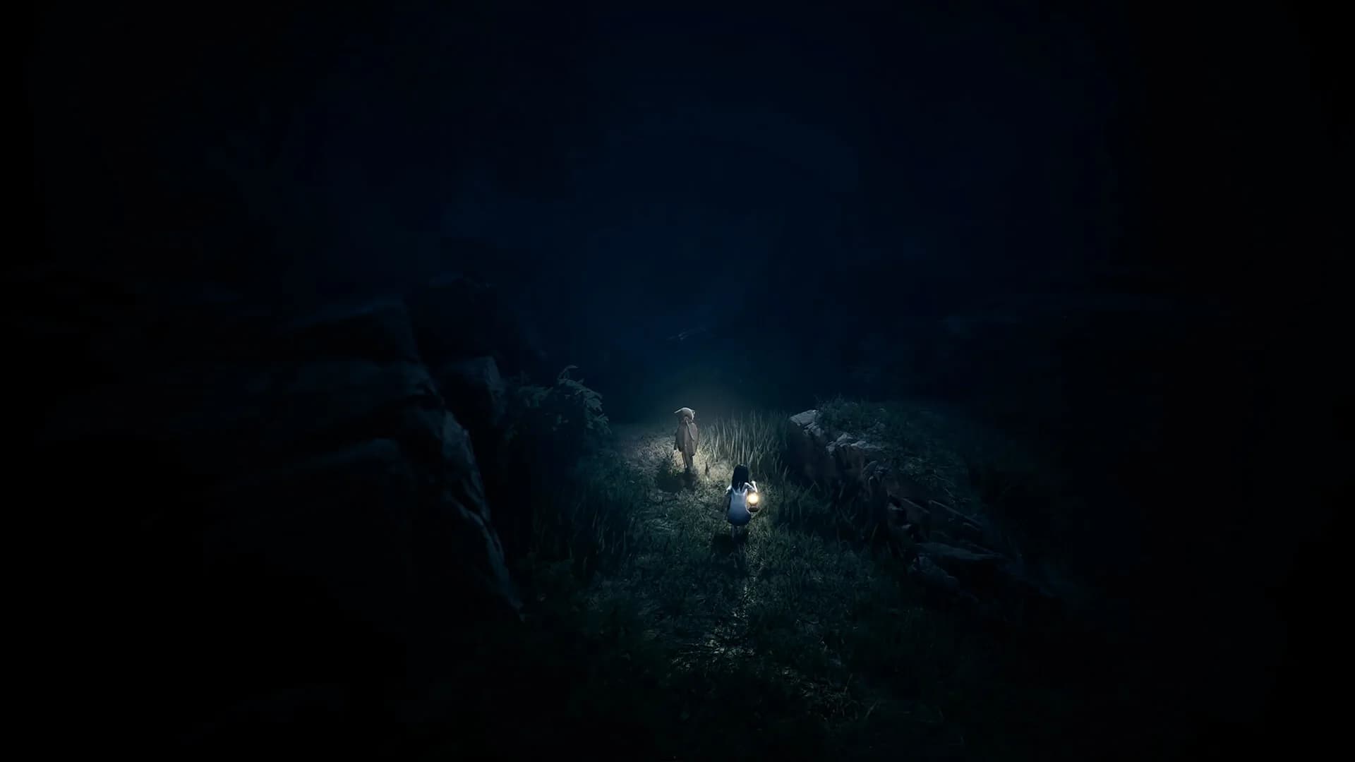 REANIMAL görsel 10