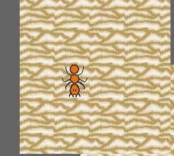 Ant in Training görsel 2