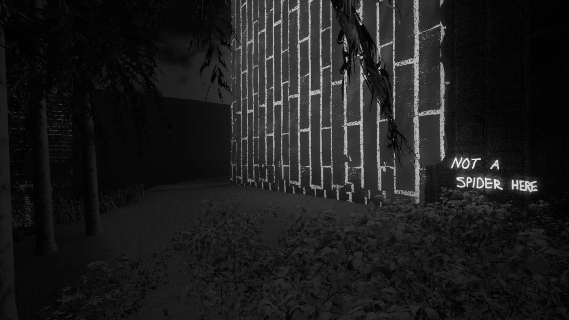 Dreamables görsel 3