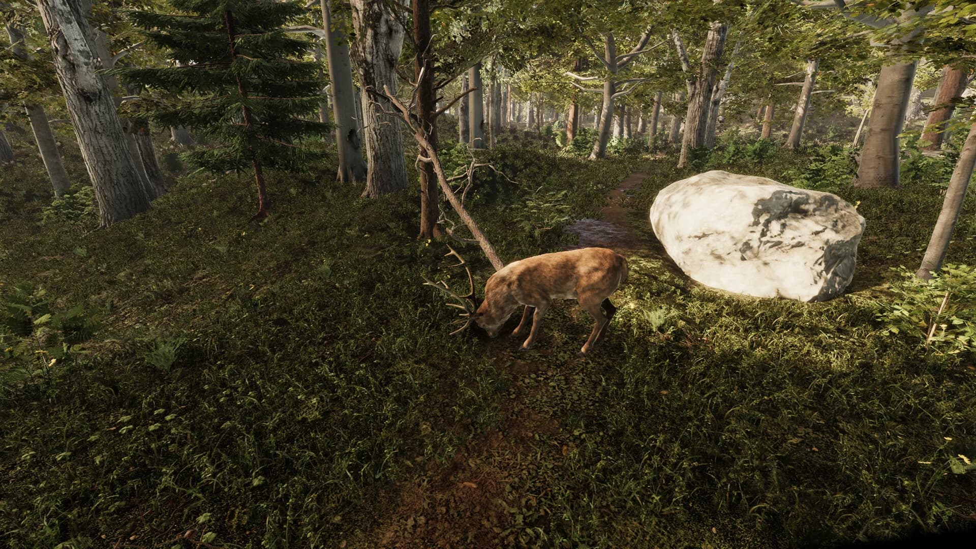 Natives görsel 6