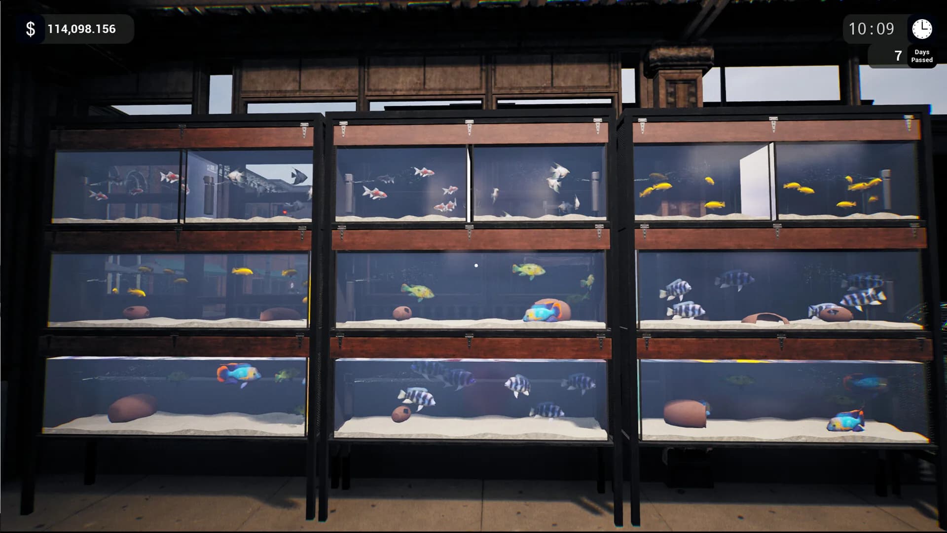 Exotica: Petshop Simulator görsel 12