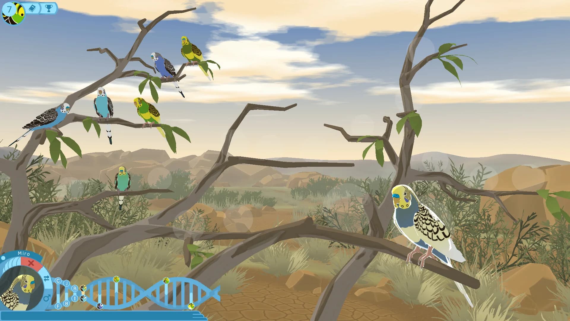 Budgie Genetics Simulator görsel 2