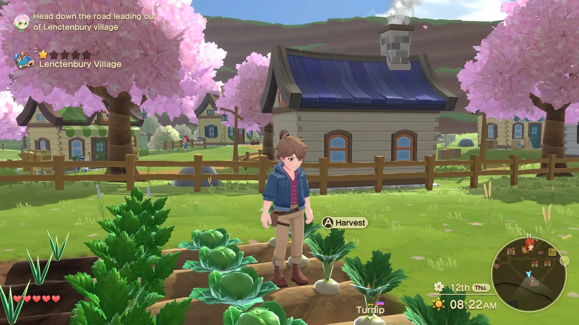 Harvest Moon: The Winds of Anthos görsel 2