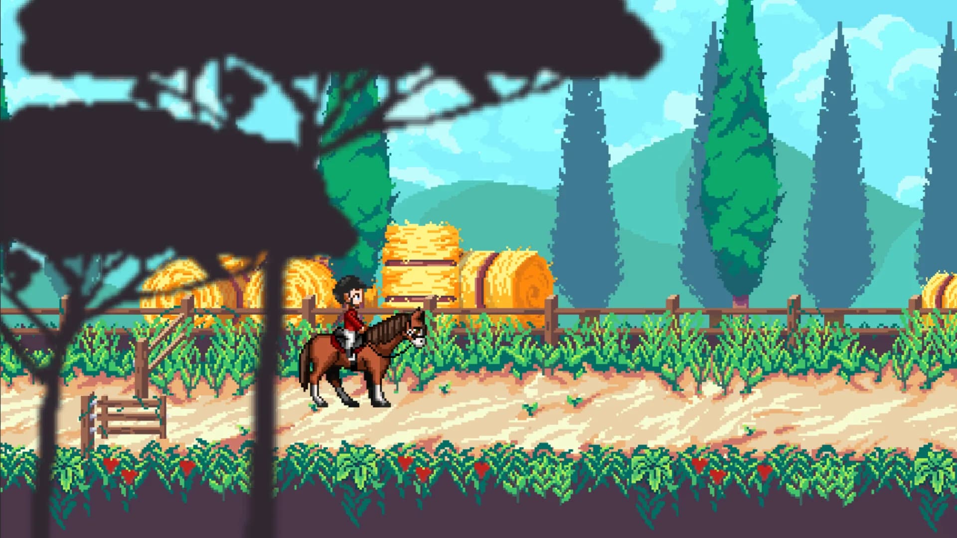 Rising Star - The Horse Game görsel 7