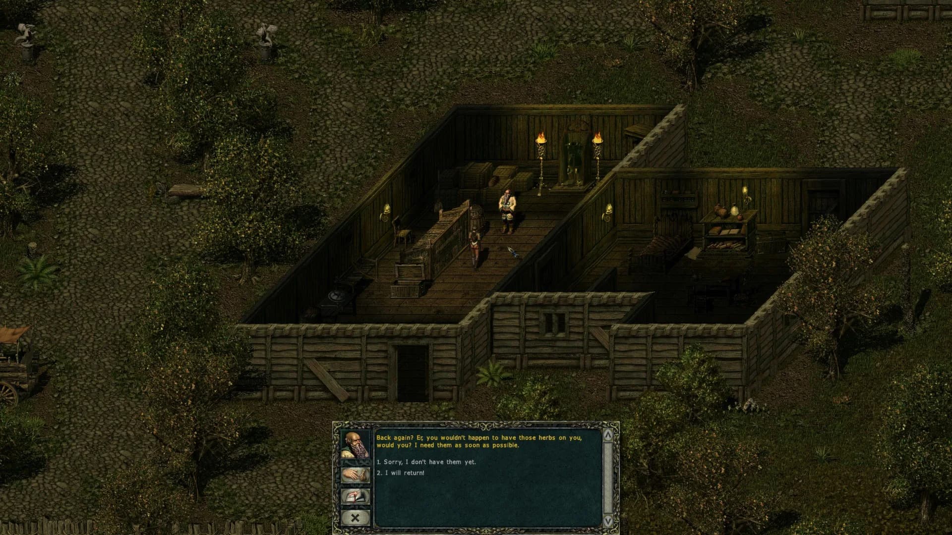 Divine Divinity görsel 5