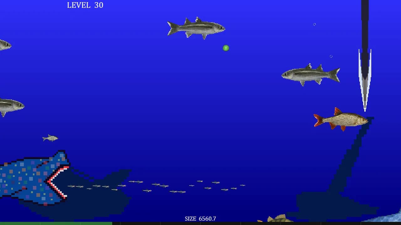 King Of Water görsel 8