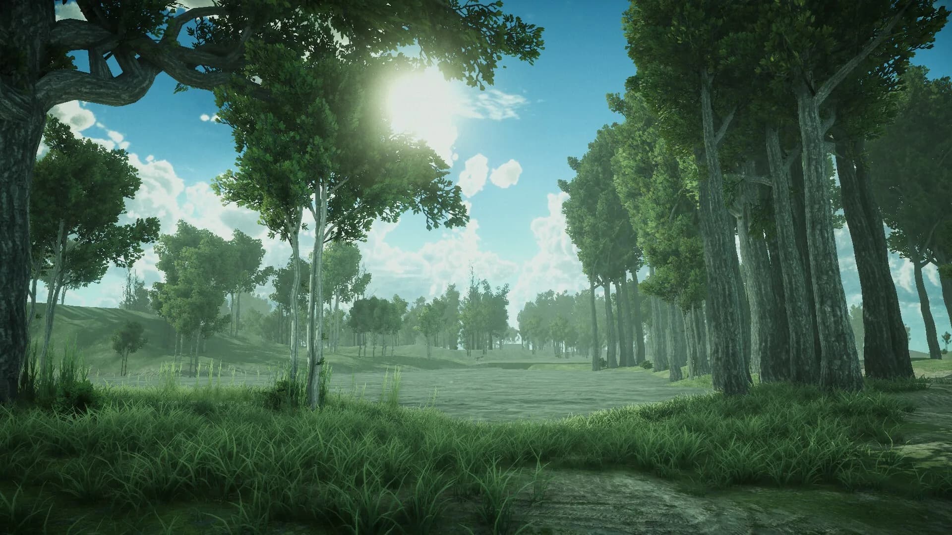 Forest Spring görsel 2