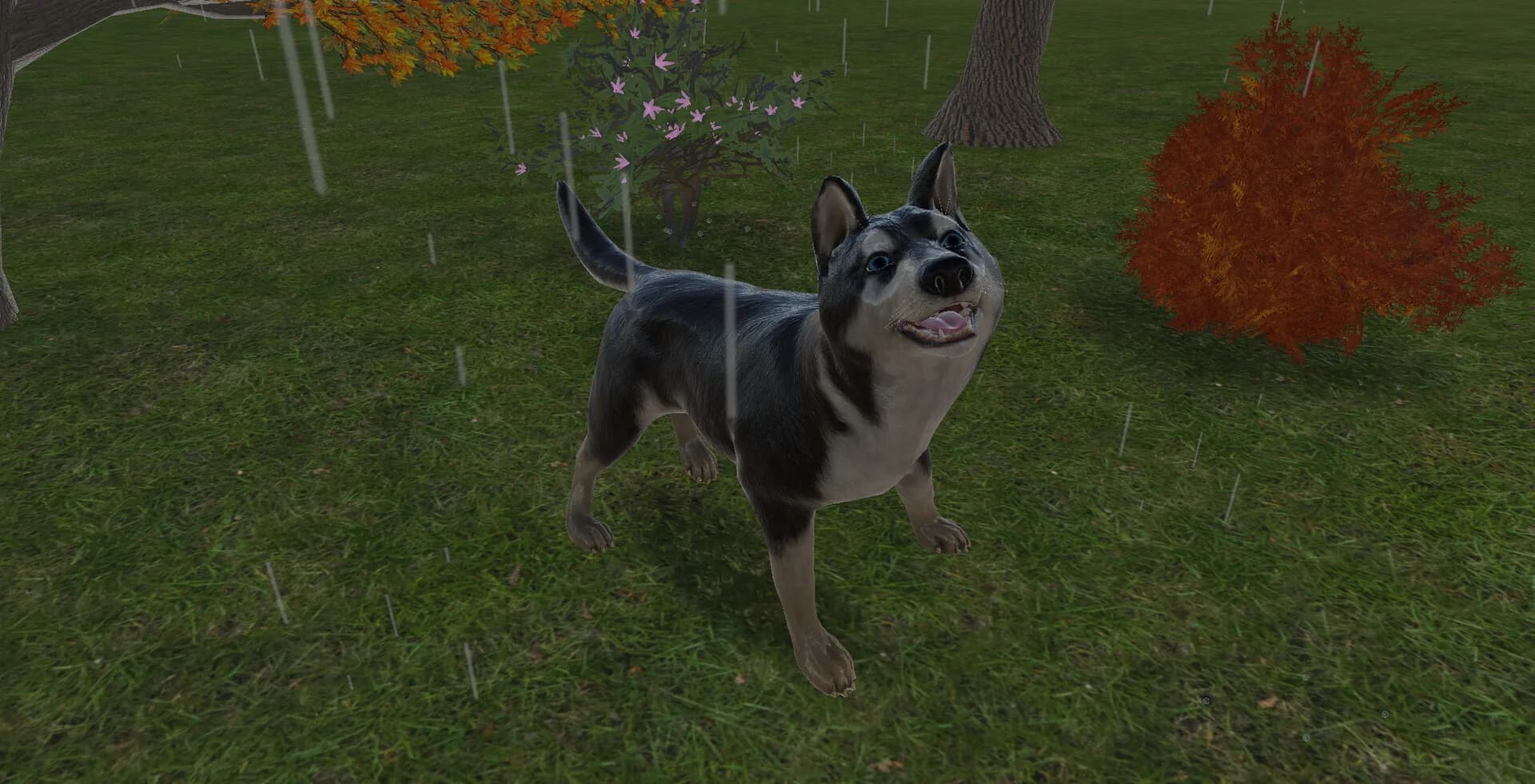 Pets Hotel: Prologue görsel 15