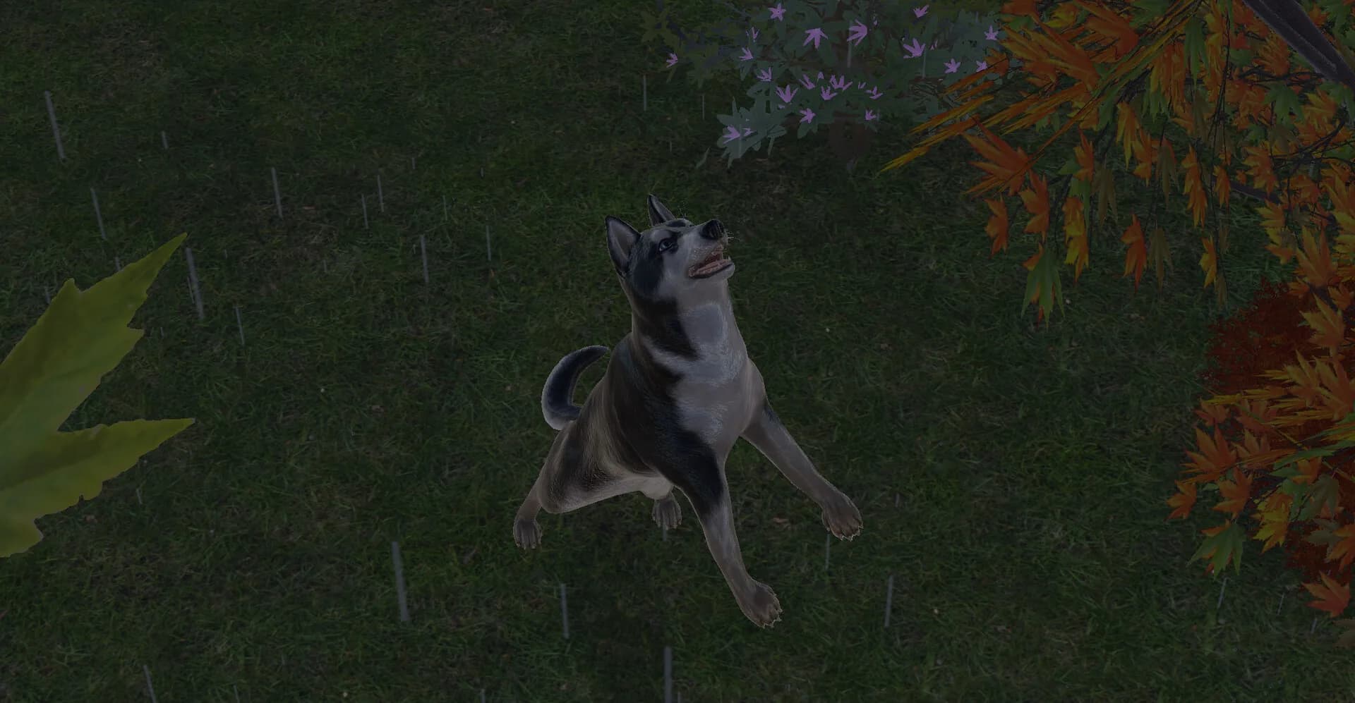 Pets Hotel: Prologue görsel 21