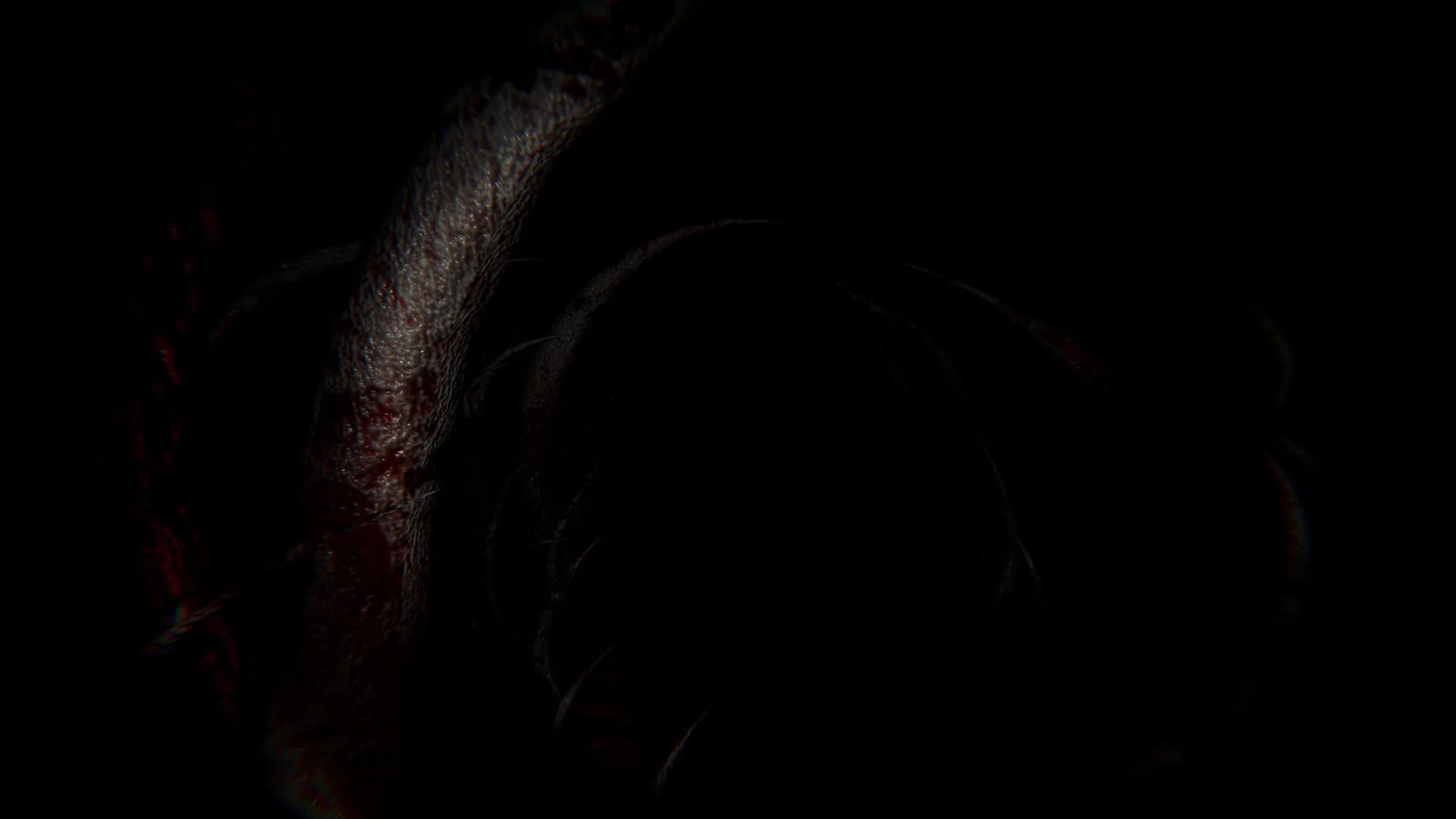 TIMORE REMAKE görsel 7