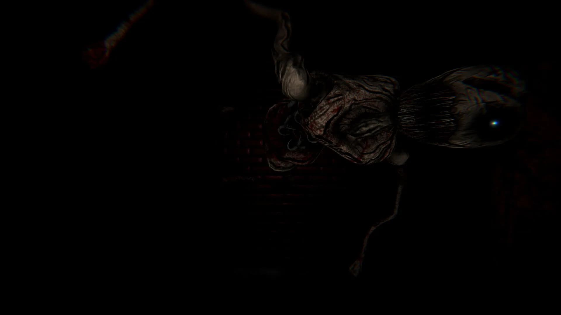 NOX TIMORE REMAKE görsel 4