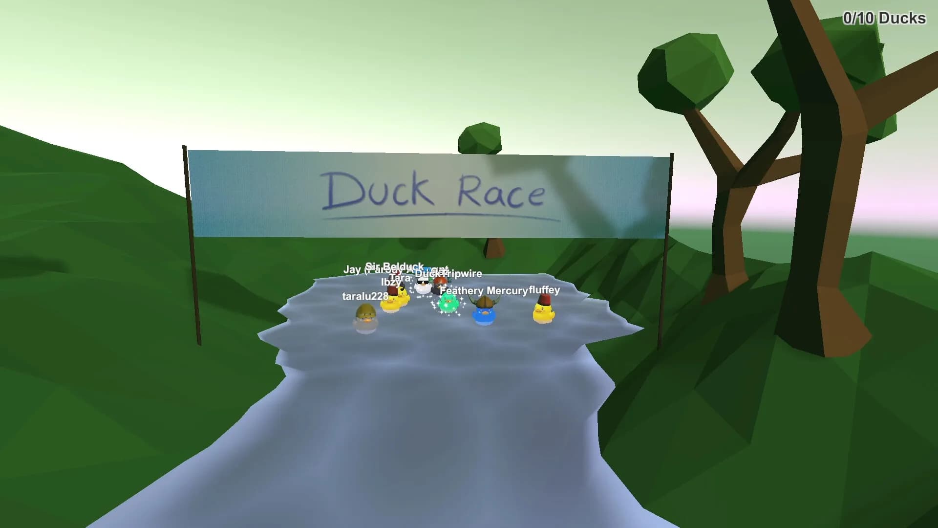 Duck Race görsel 8