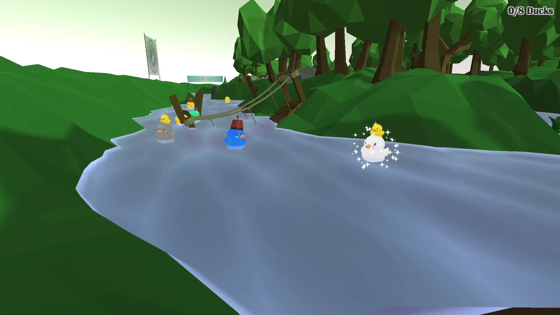 Duck Race görsel 9