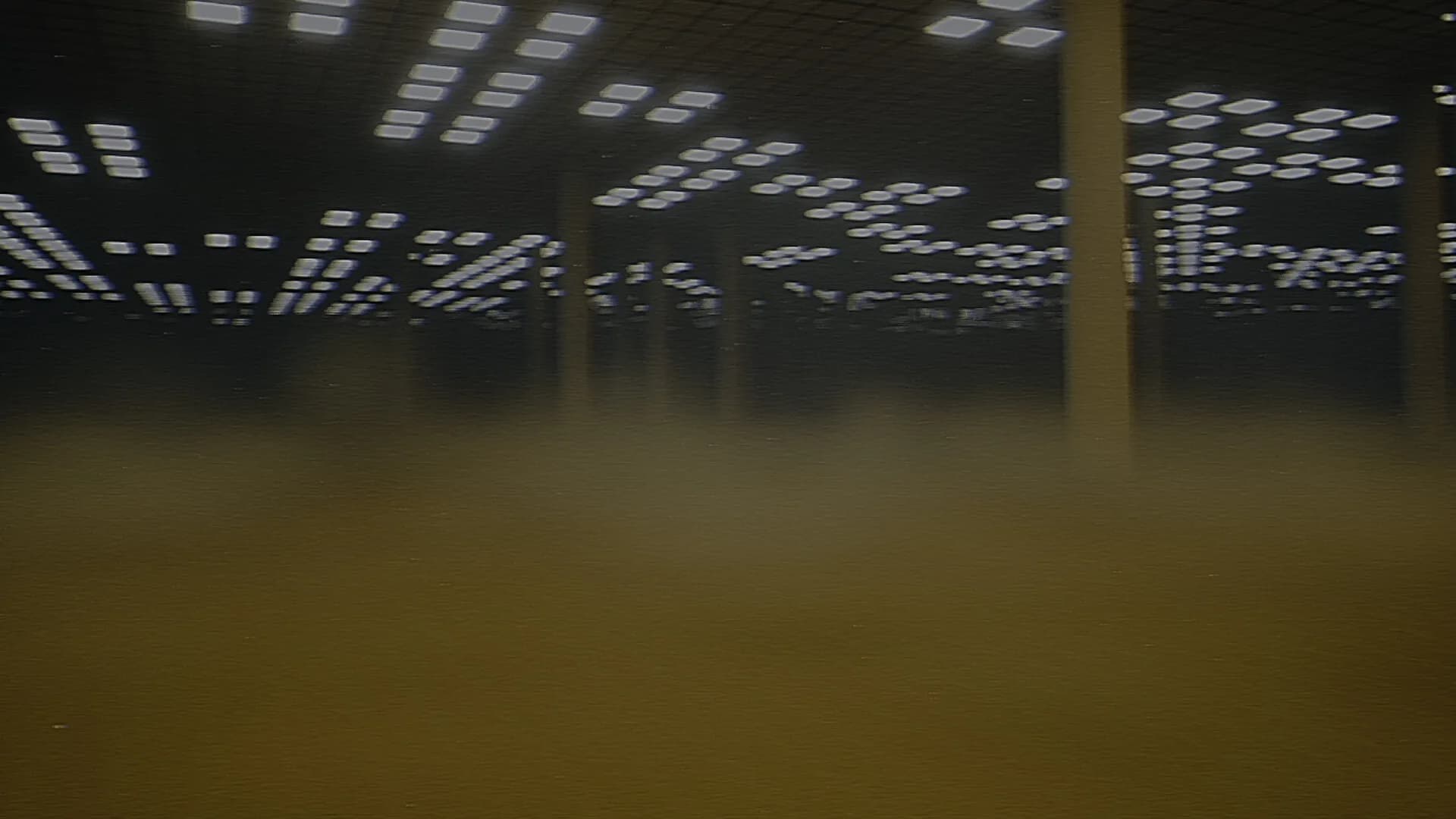 LIMINAL görsel 2