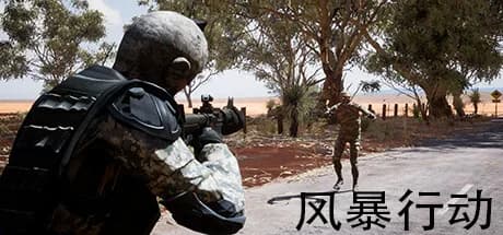 风暴行动 görsel 1