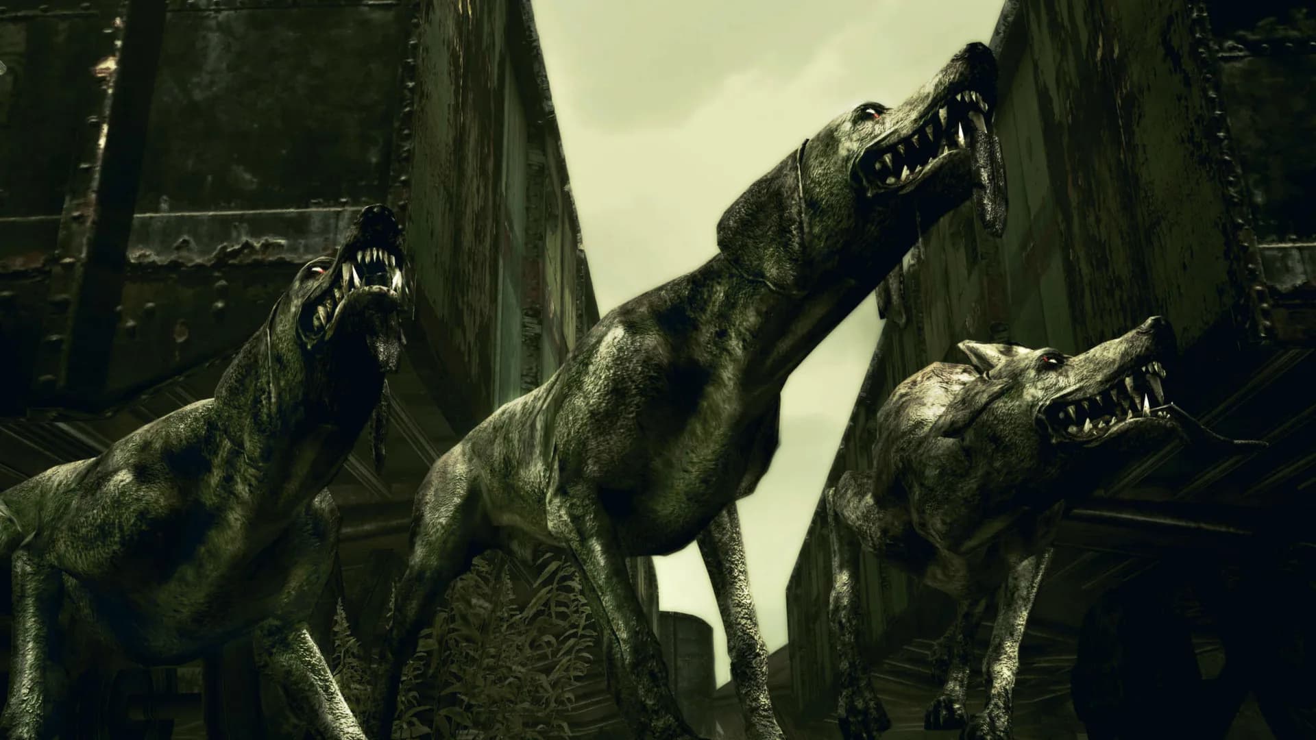 Resident Evil 5 görsel 45