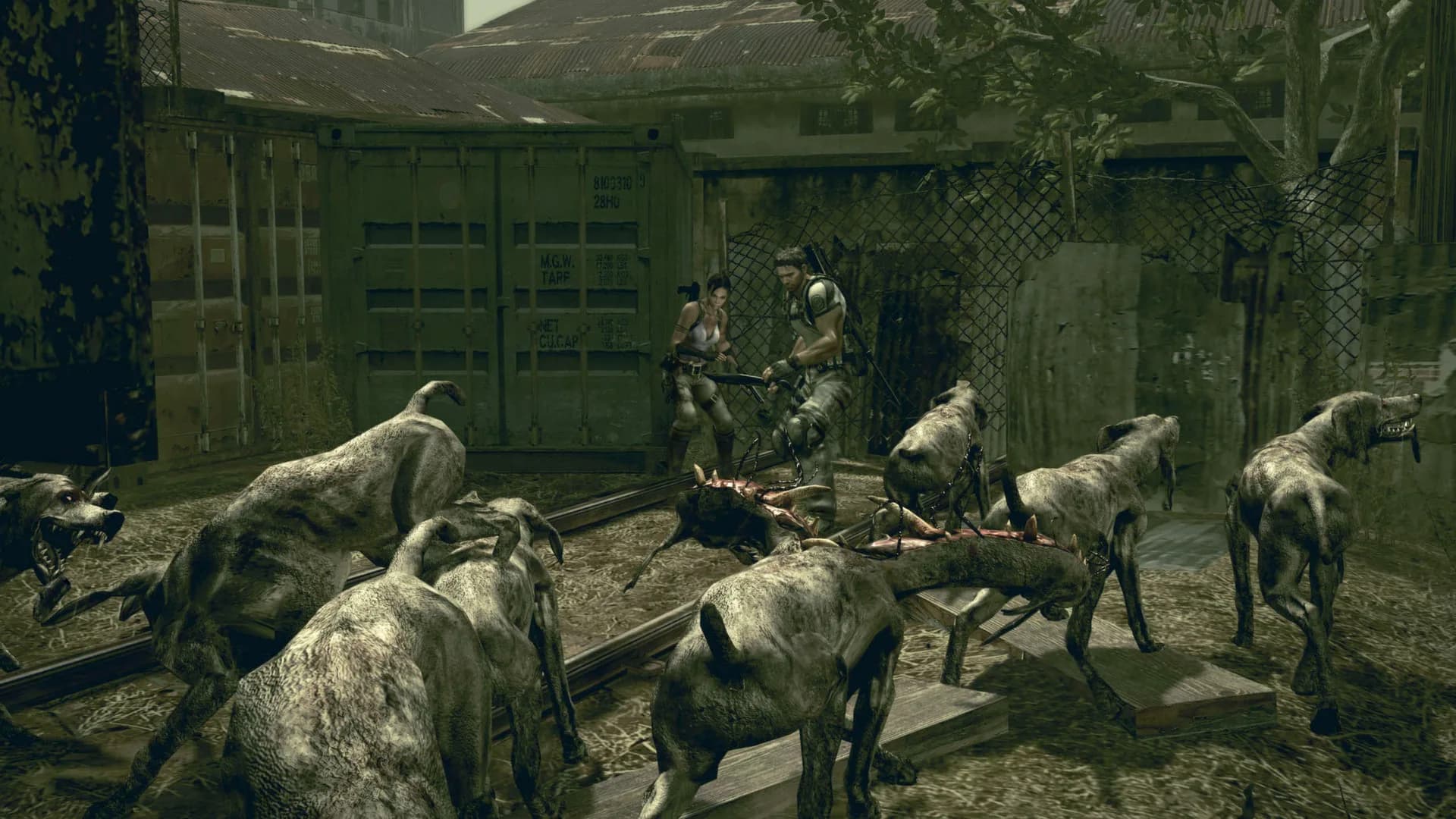 Resident Evil 5 görsel 48