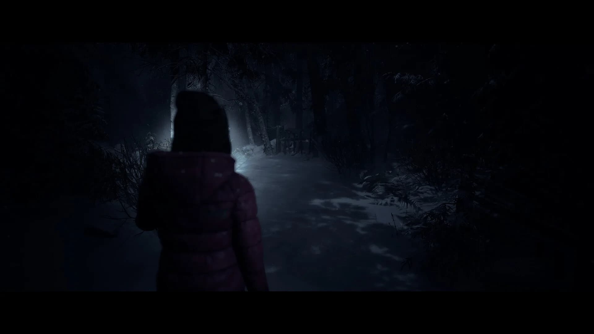 Until Dawn™ görsel 12