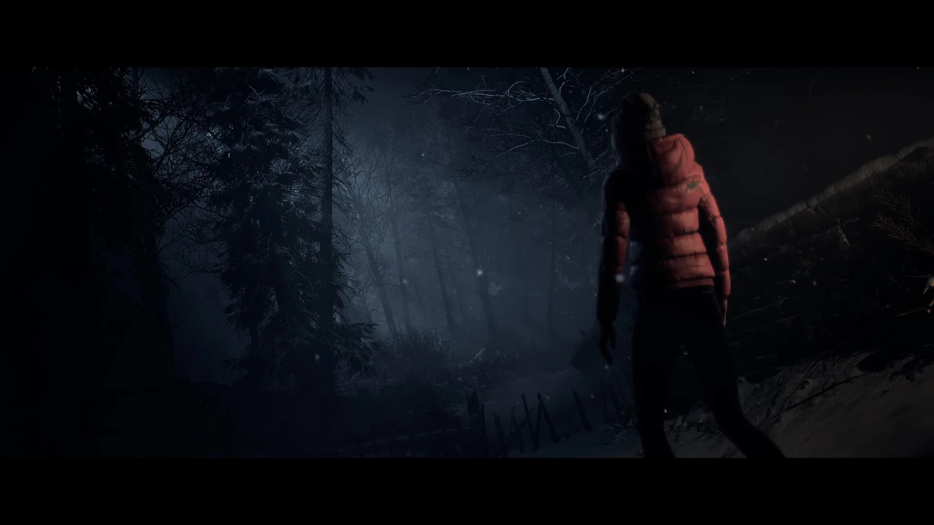 Until Dawn™ görsel 9