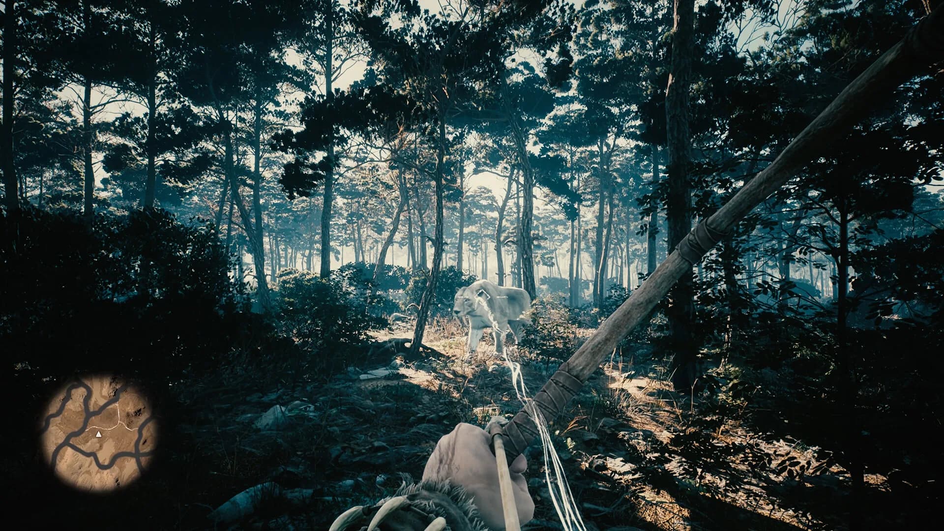 Primitive görsel 3