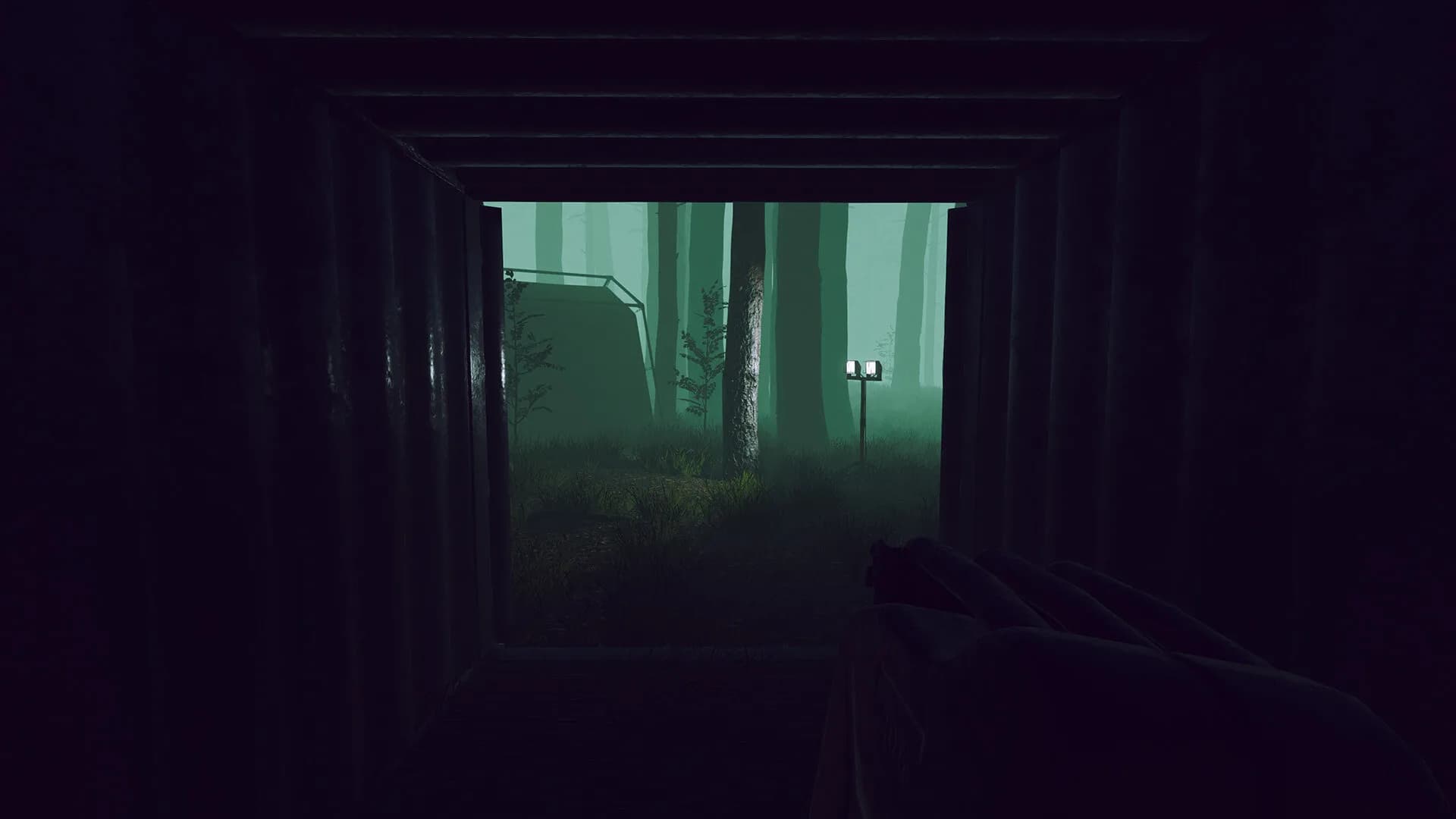 Odd Woods görsel 15