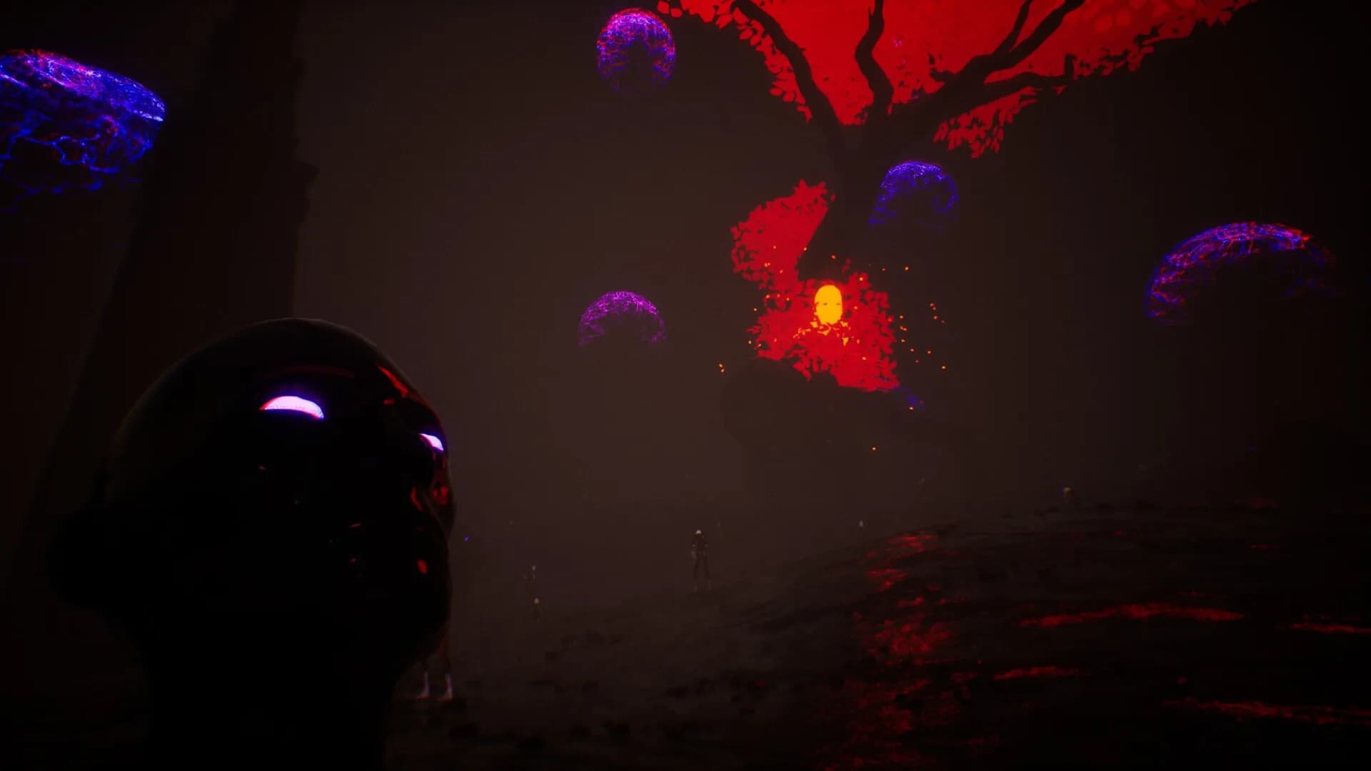 The Search For Paradisus görsel 5