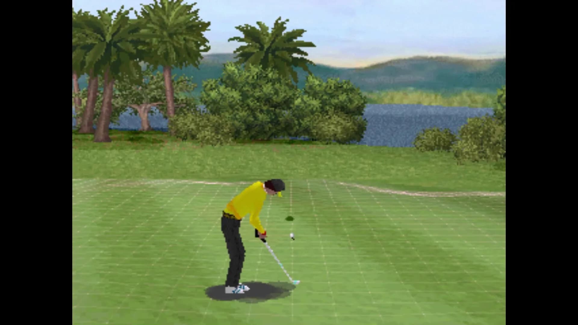 Actua Golf görsel 4