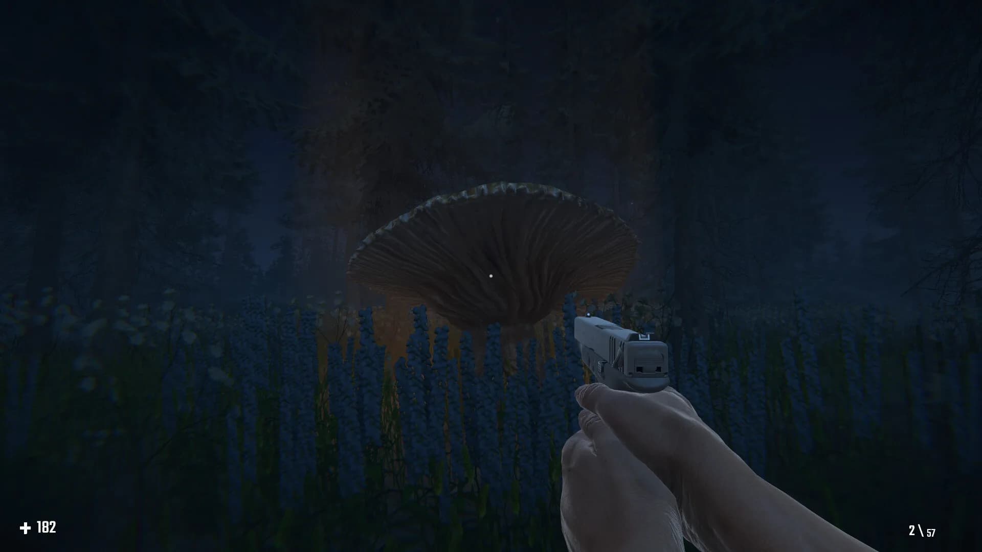MUSHROOMAN görsel 8