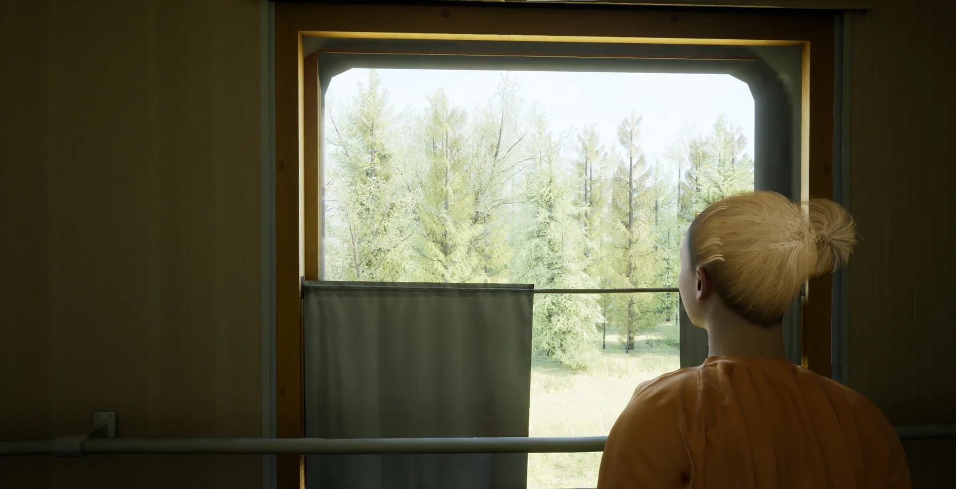 Russian Train Trip 2 görsel 2