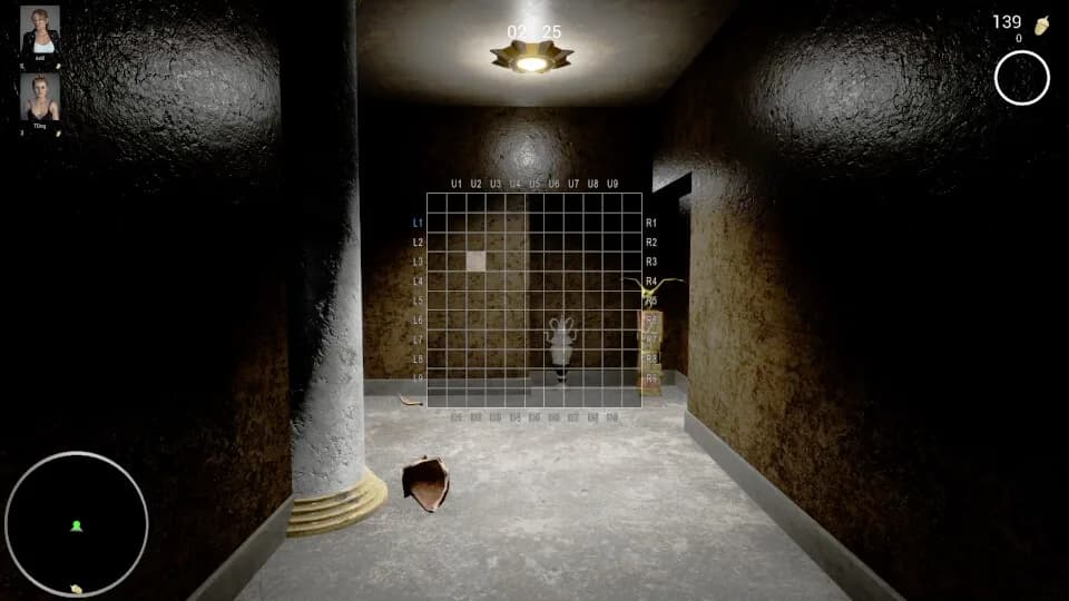 Maze Nuts görsel 4