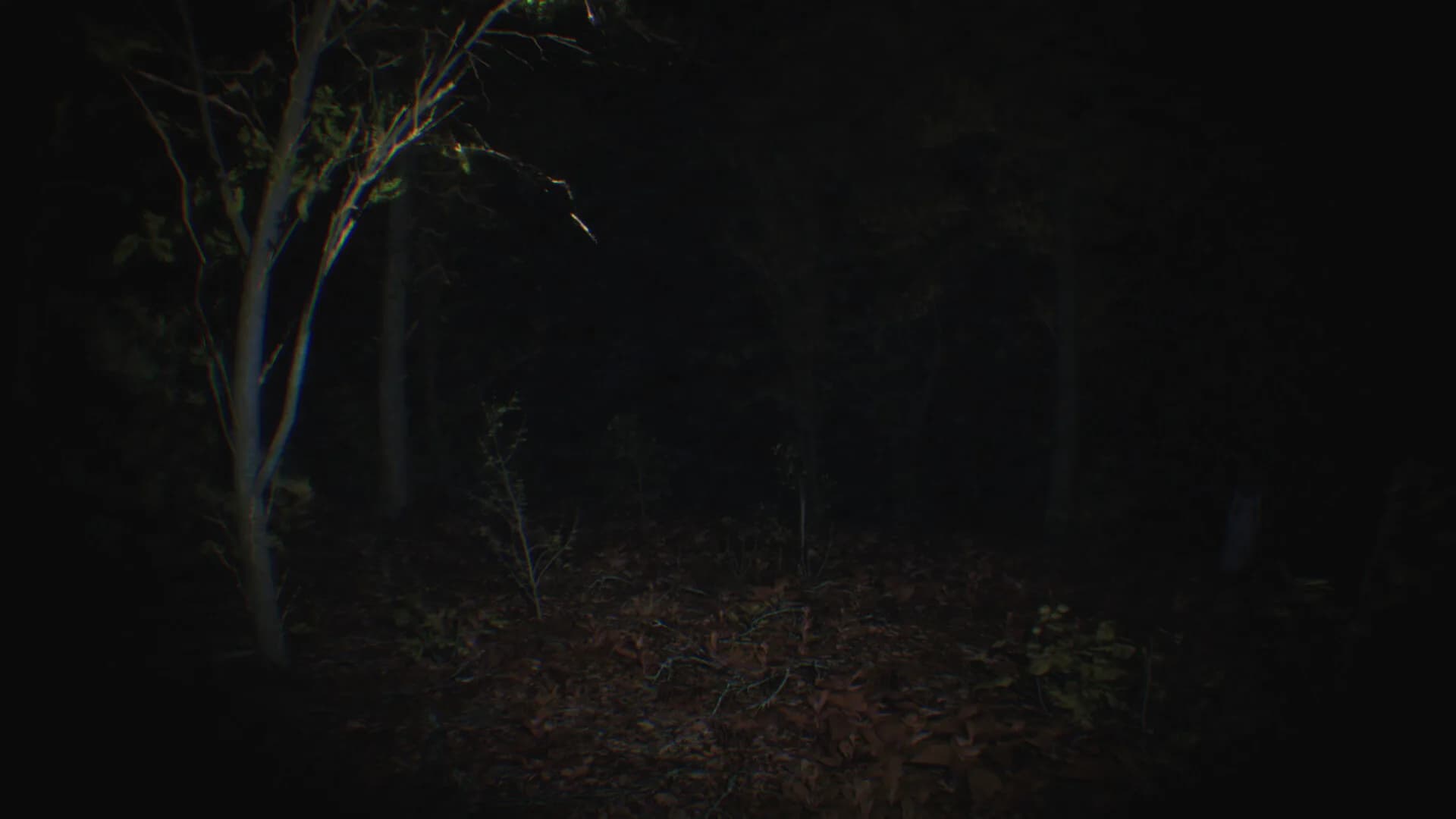 Paranormal Tales görsel 3