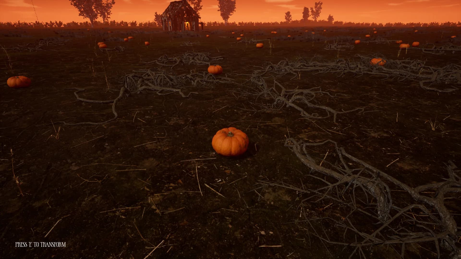 Hallowed Pumpkins görsel 8