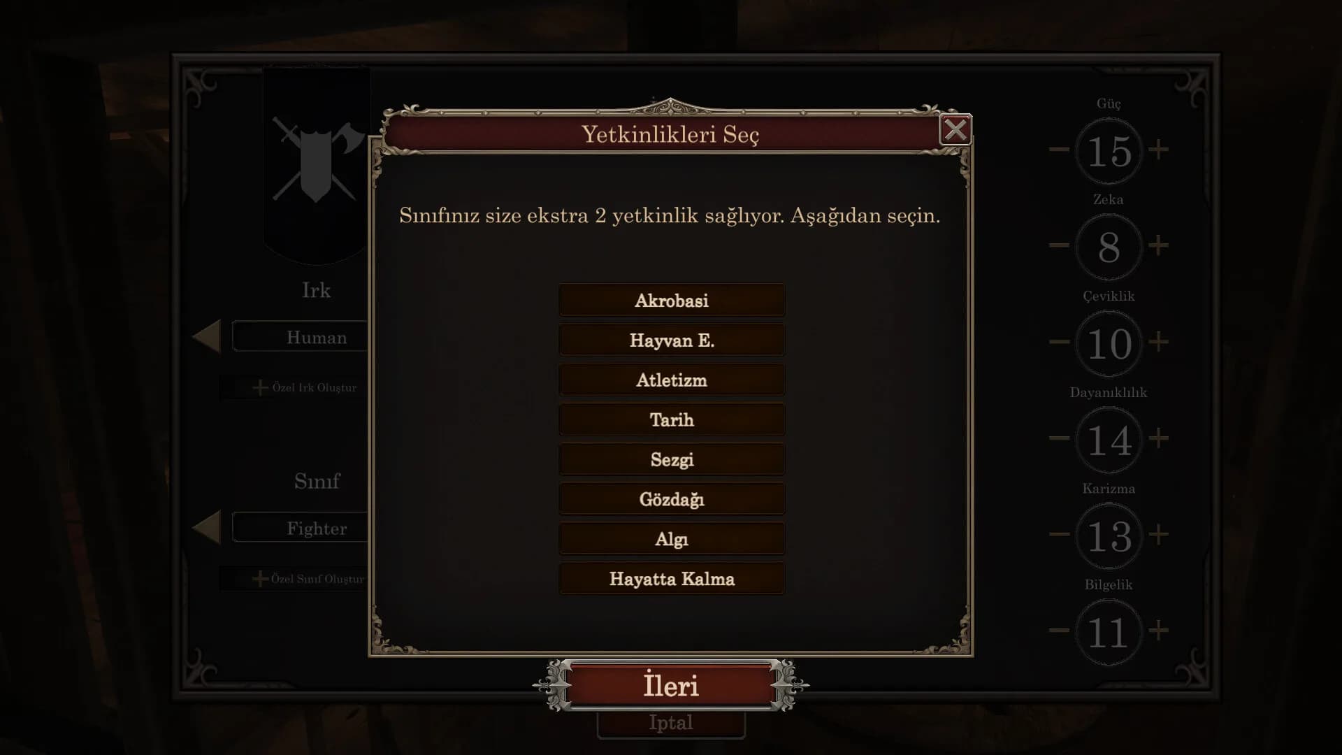 Dragon Inn görsel 3