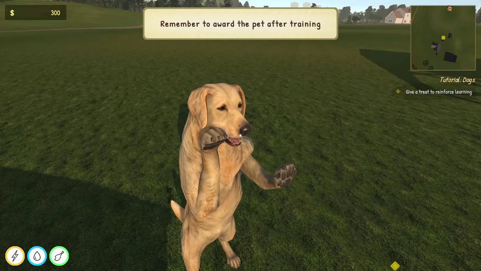 Animal Trainer Simulator görsel 7