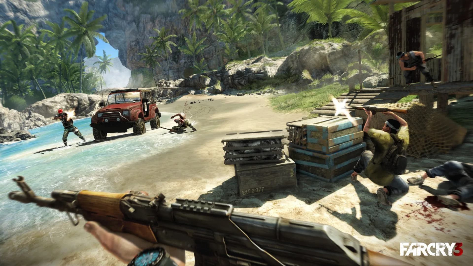 Far Cry 3 görsel 18