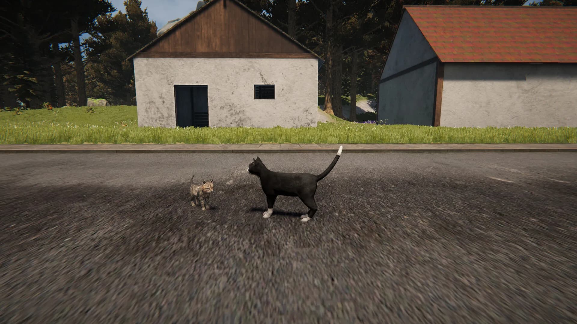 Cat Life görsel 3