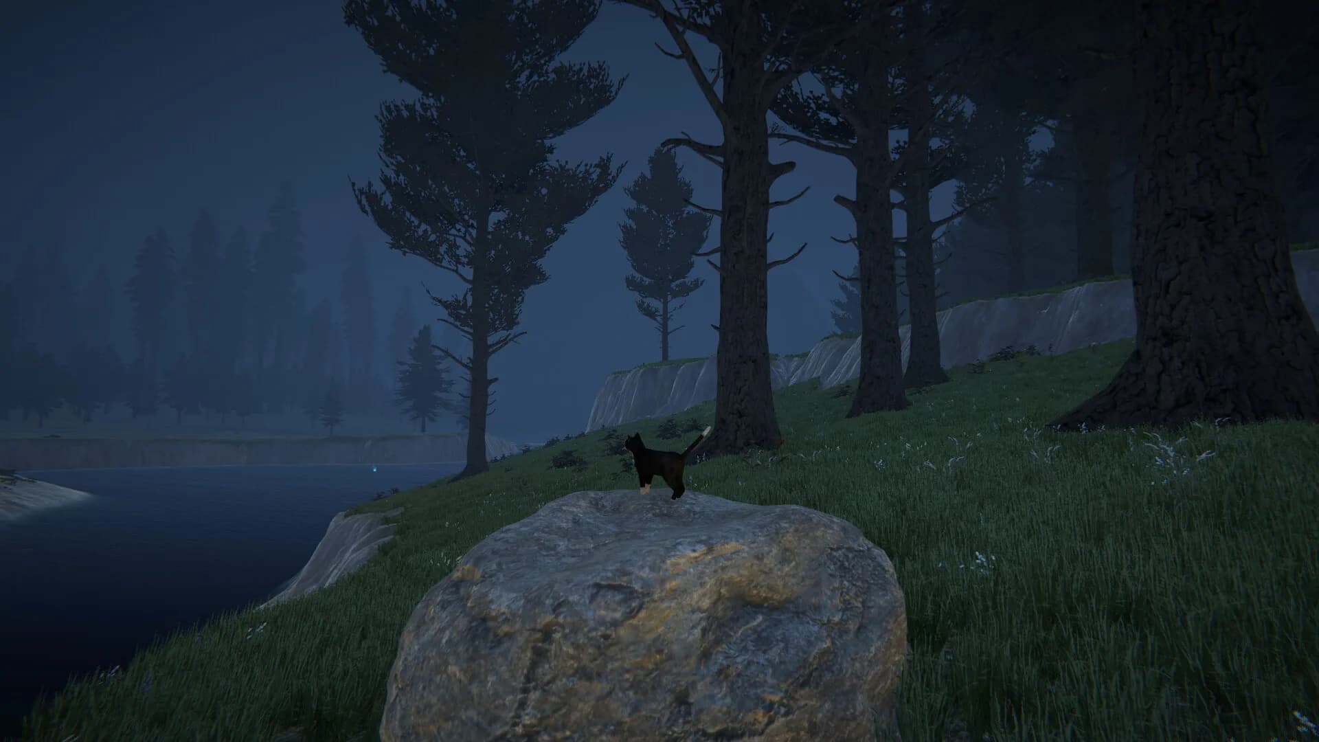 Cat Life görsel 9