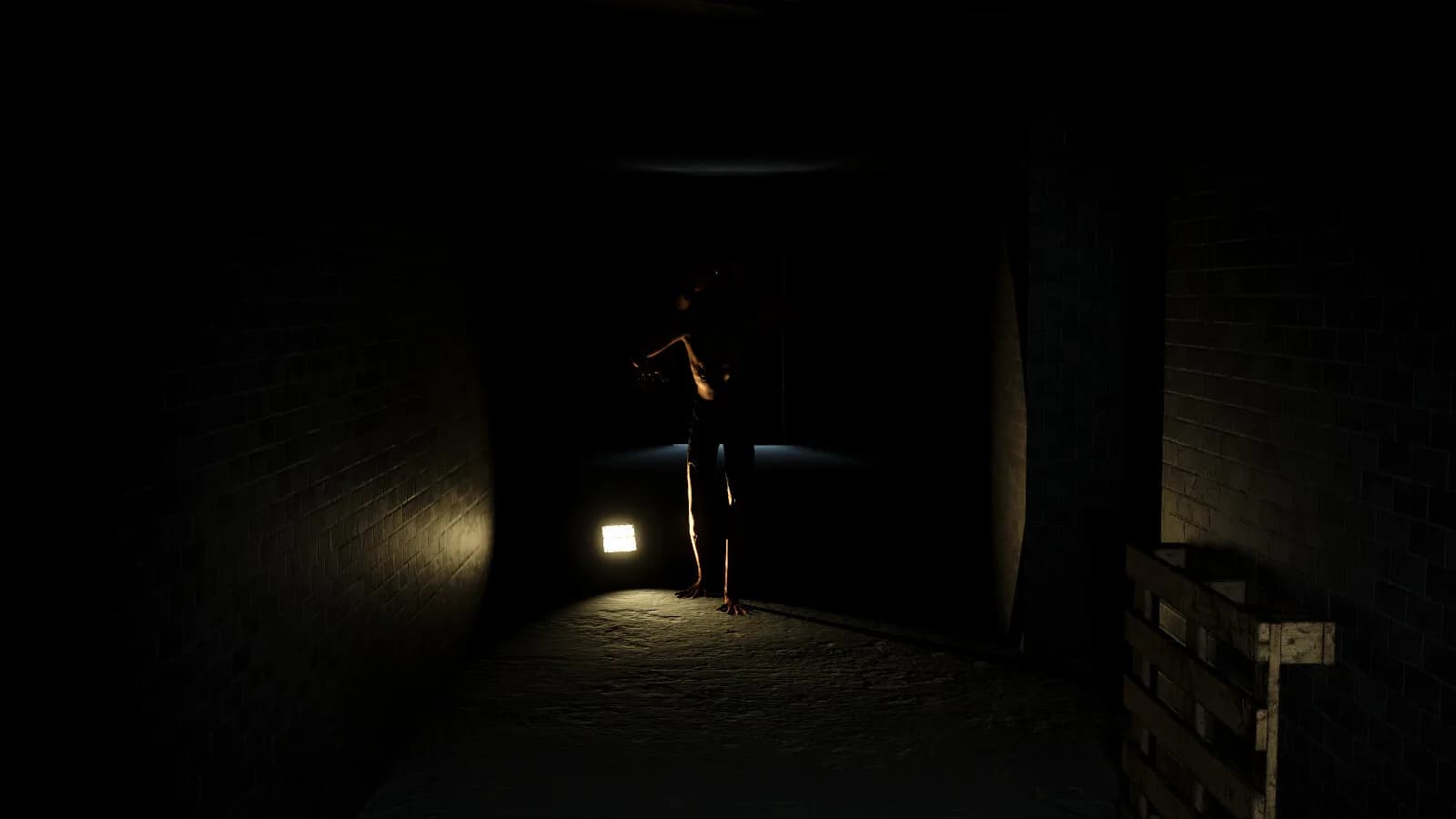 MIND CORRIDORS: Paroniria görsel 3