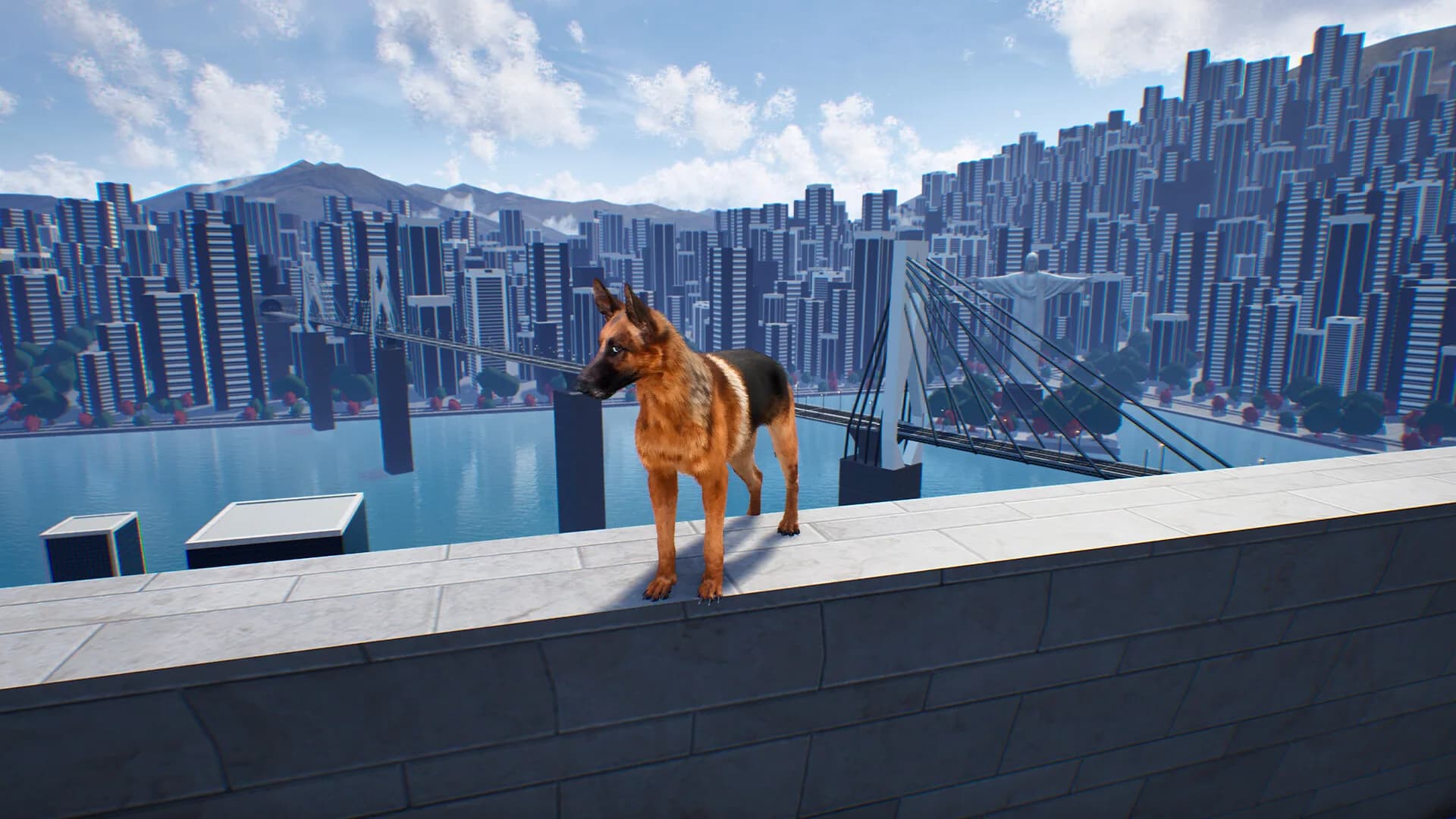 Doggy Up! görsel 26