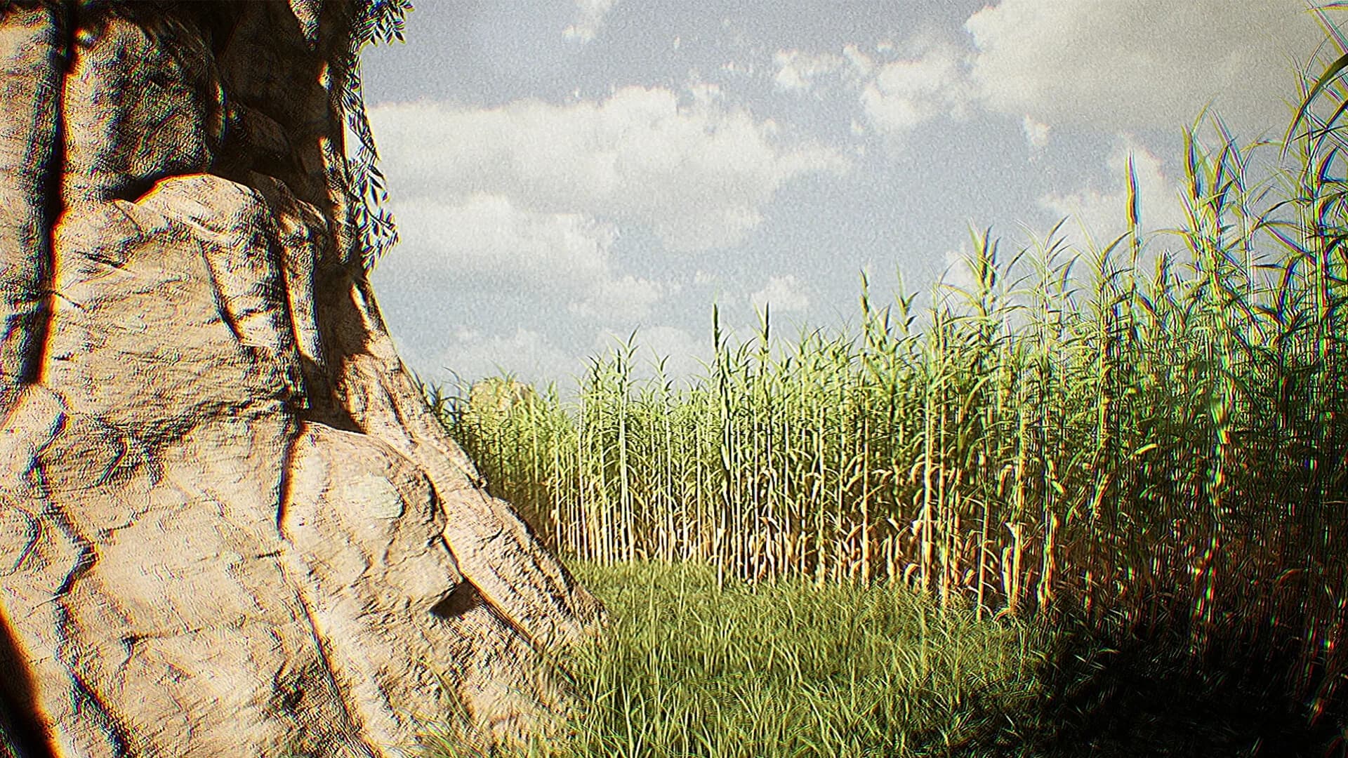 Outfield görsel 5