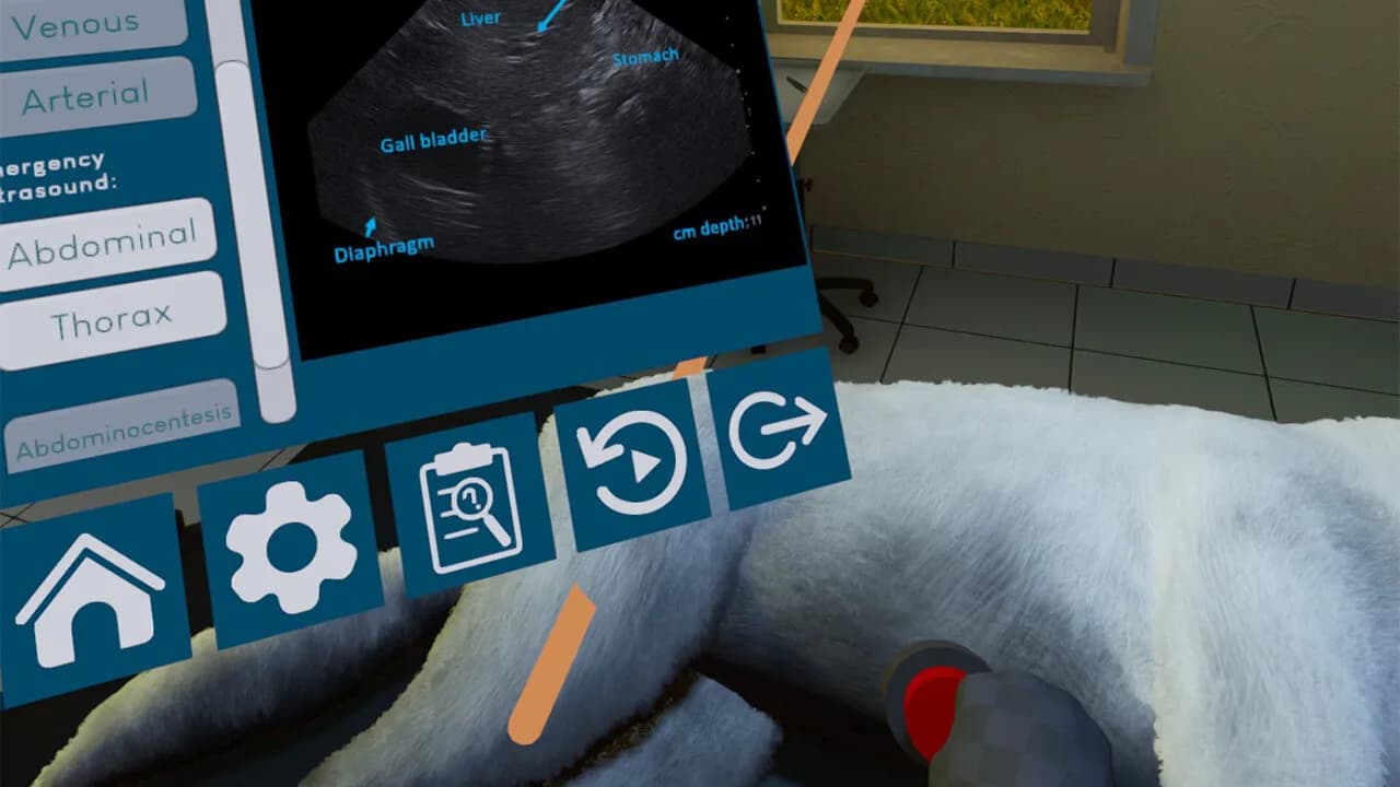 VetVR Veterinary Simulator görsel 3