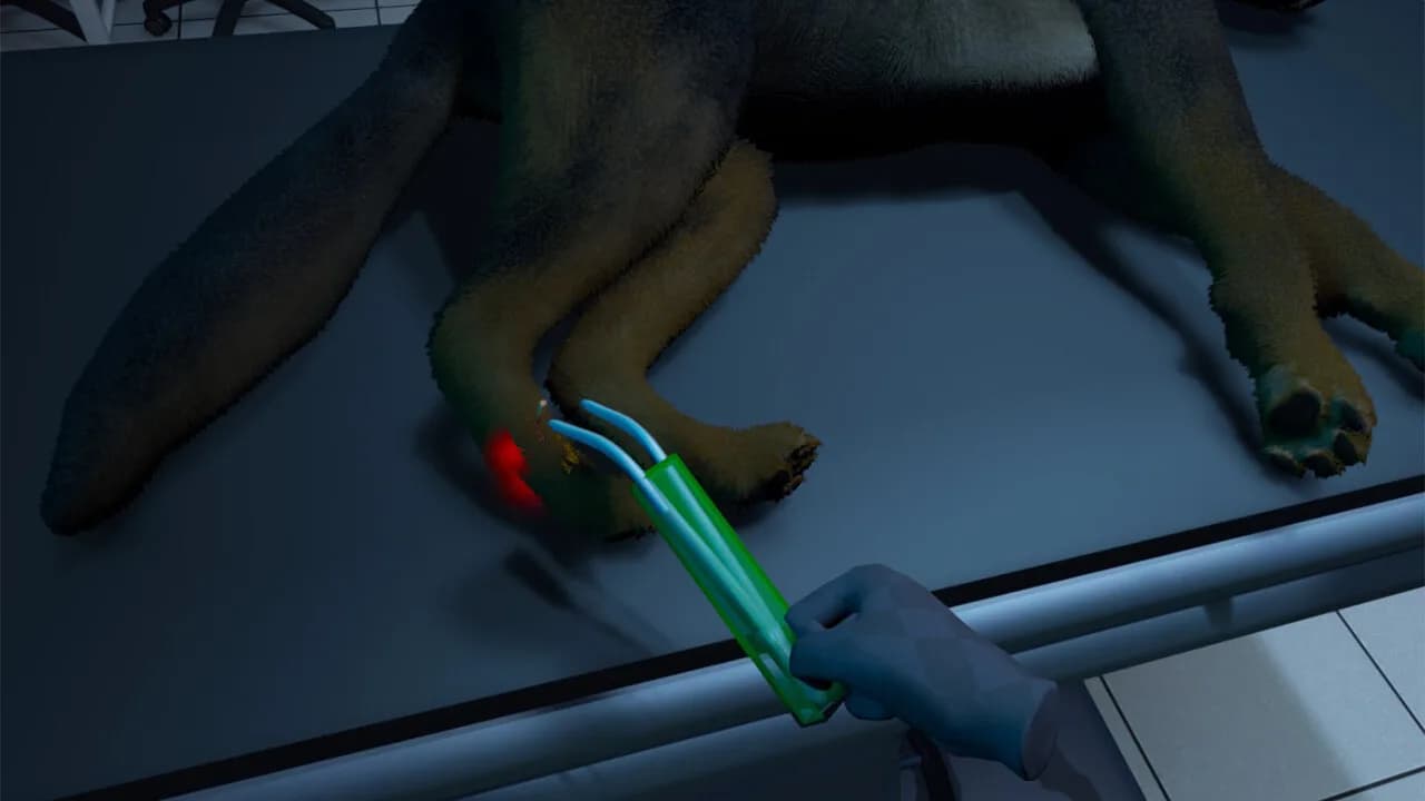 VetVR Veterinary Simulator görsel 5
