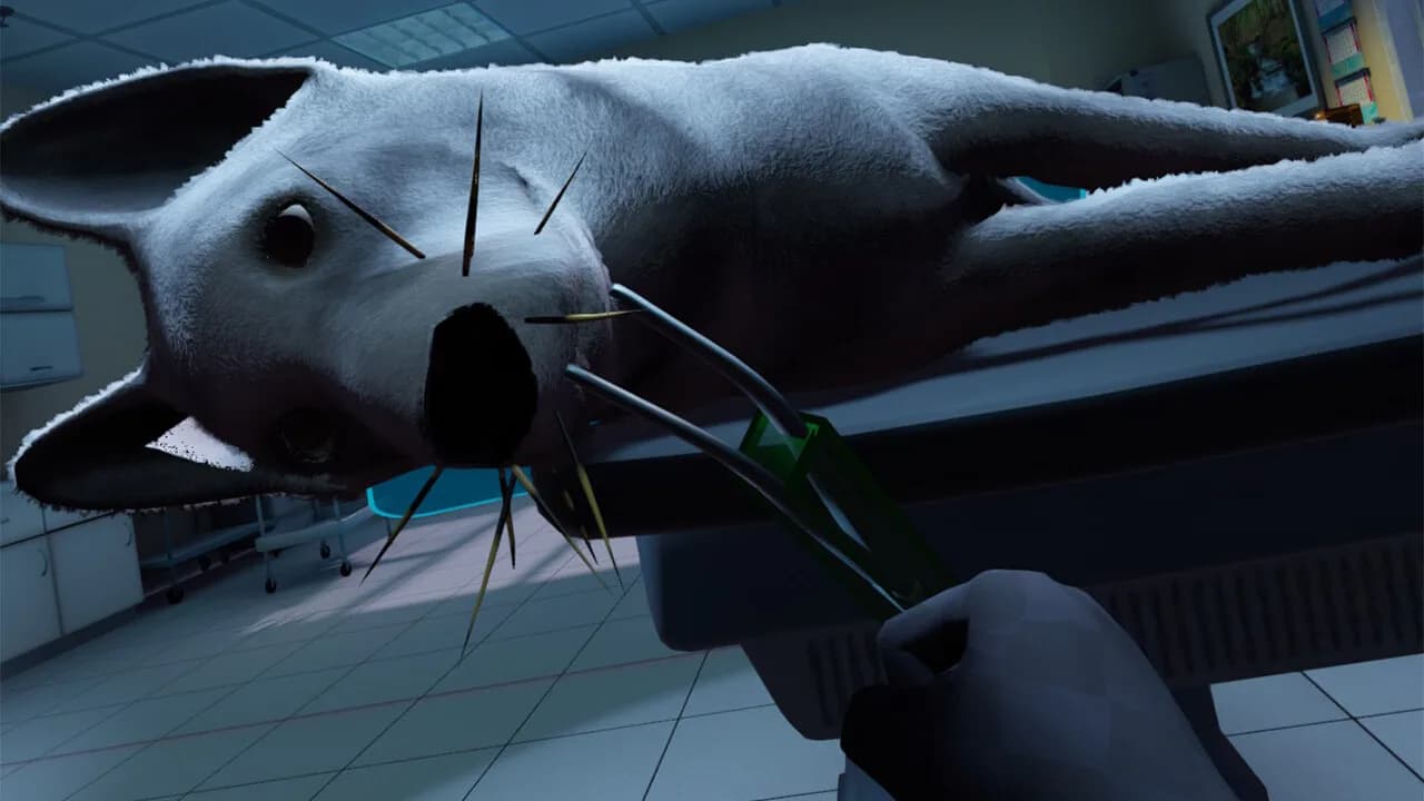 VetVR Veterinary Simulator görsel 6