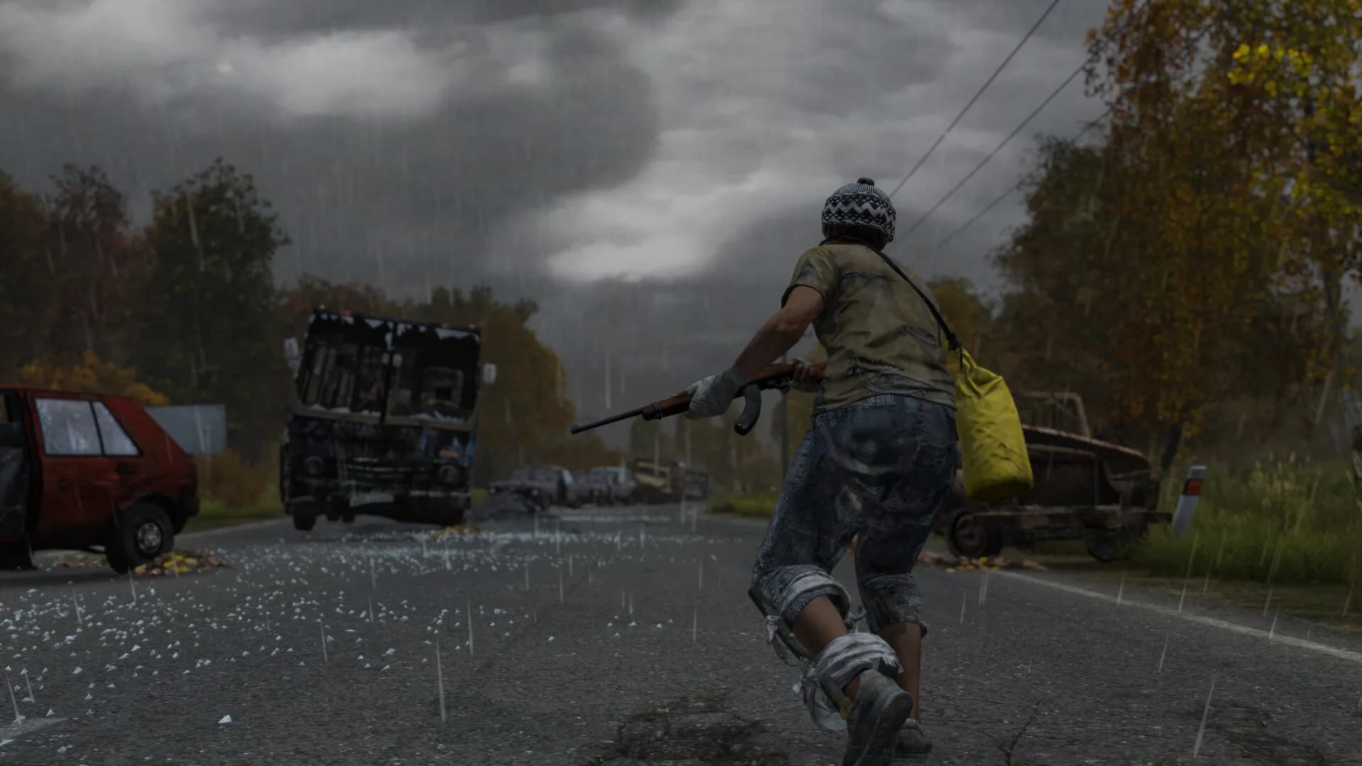 DayZ görsel 2