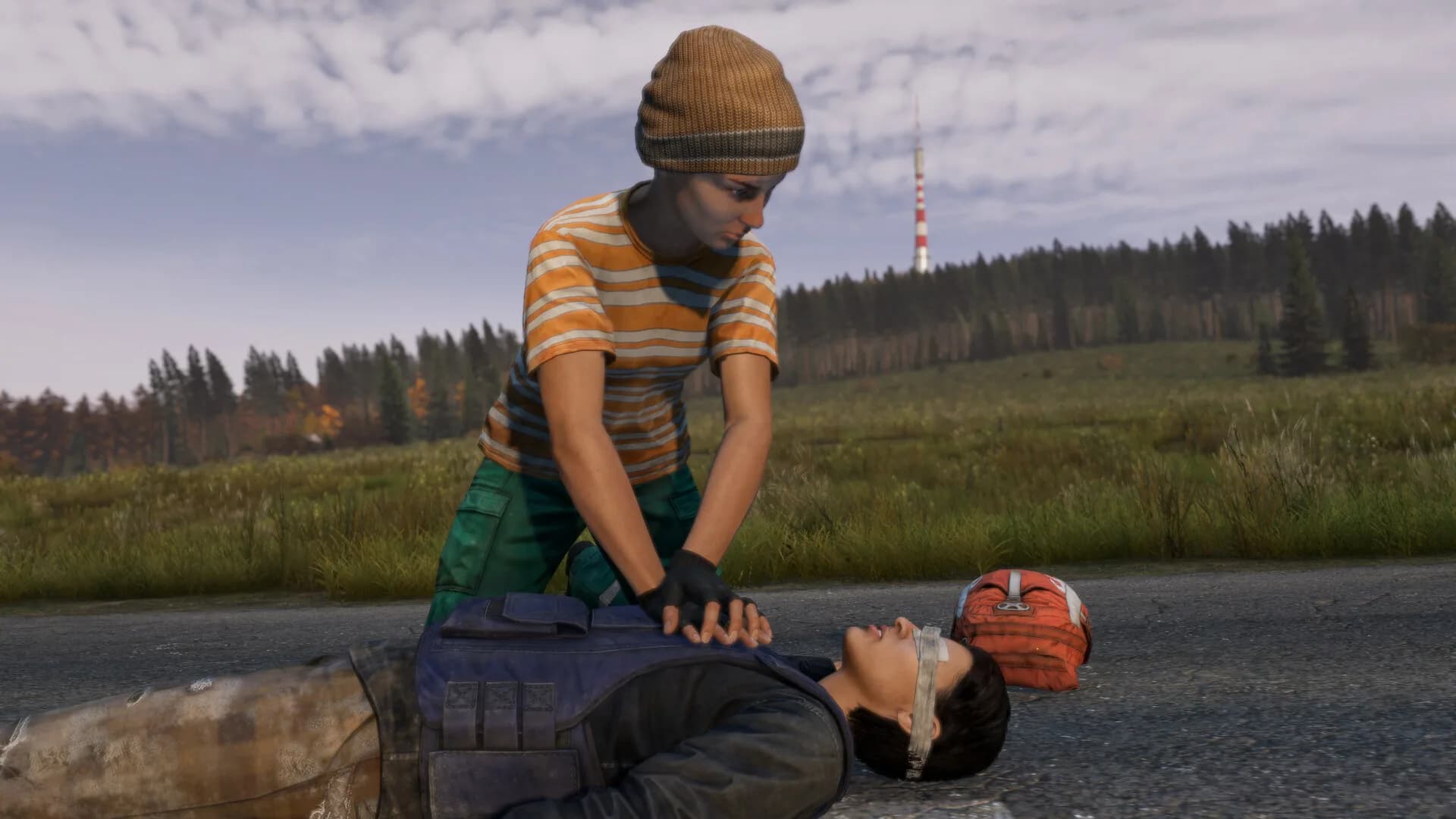 DayZ görsel 3