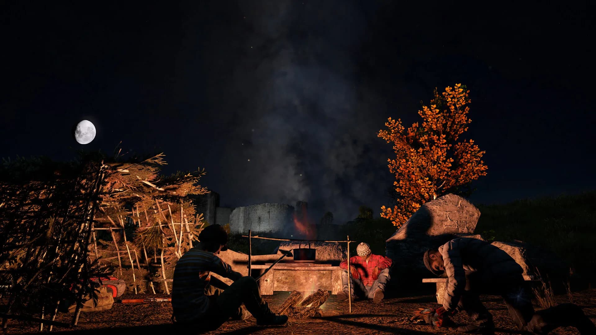 DayZ görsel 16