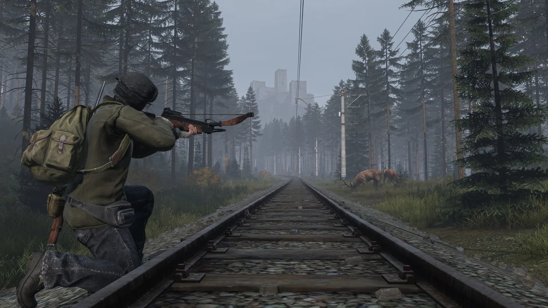 DayZ görsel 18